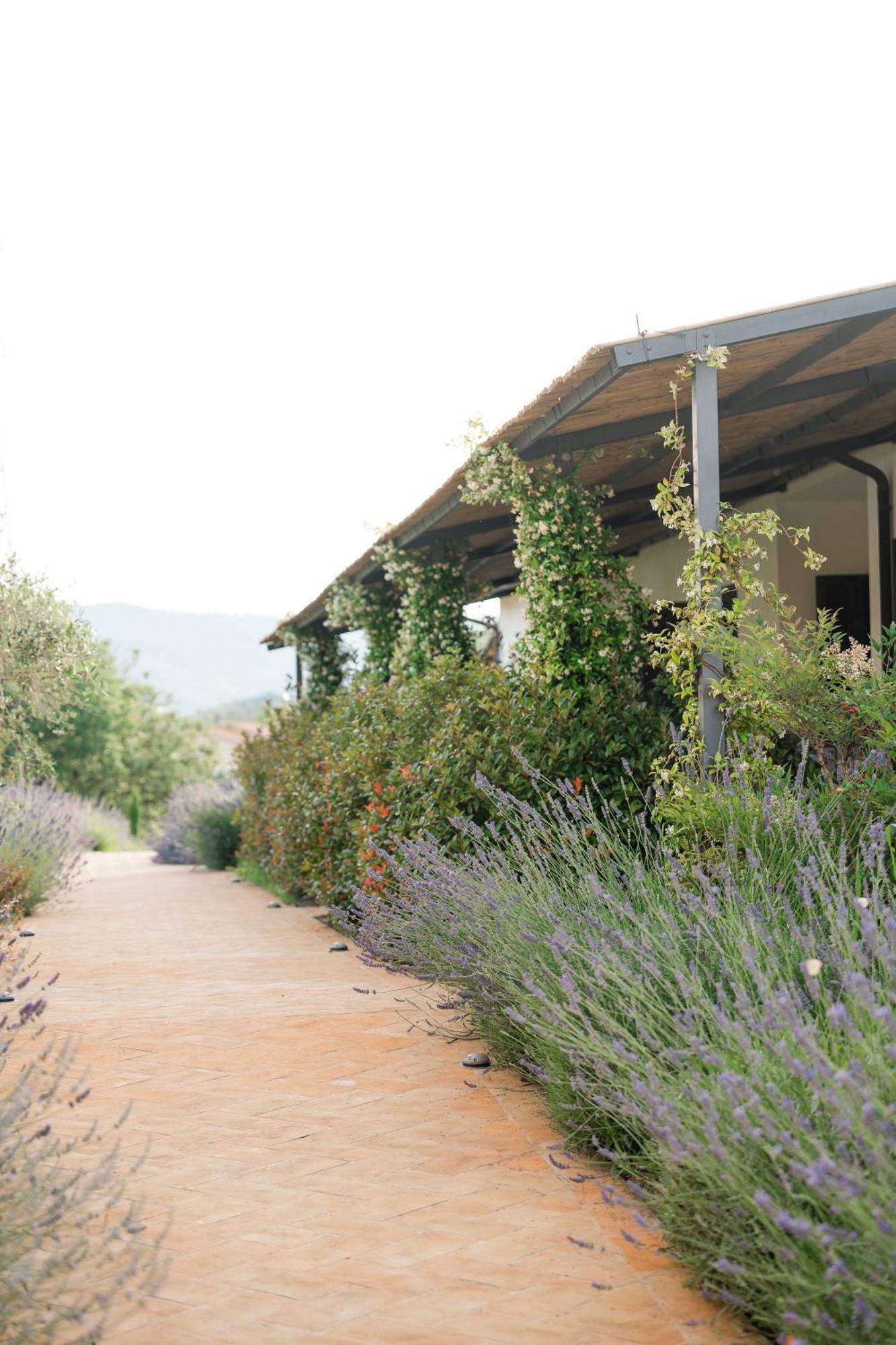 Hortus Natural Living Todi Exterior photo